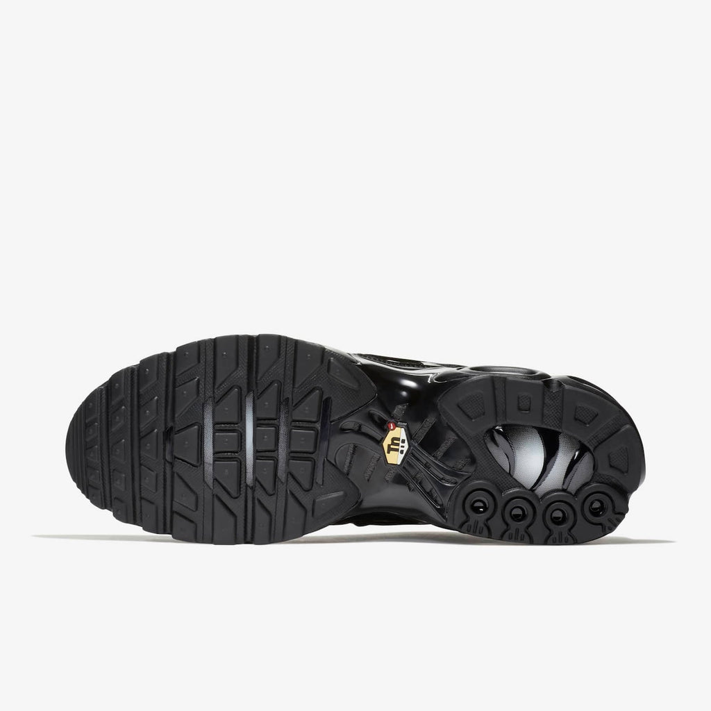 Air Max TN's Plus