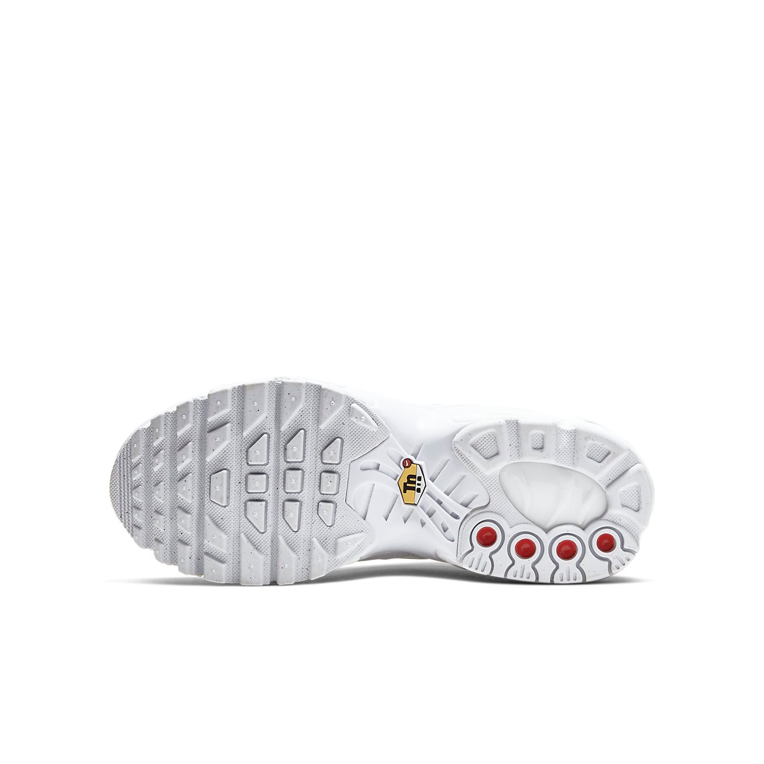 Air Max Plus TN Triple White
