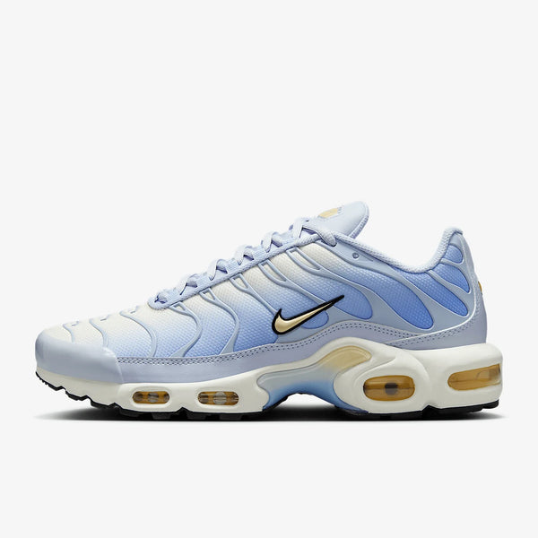 Air Max Plus TN Blue Authentic