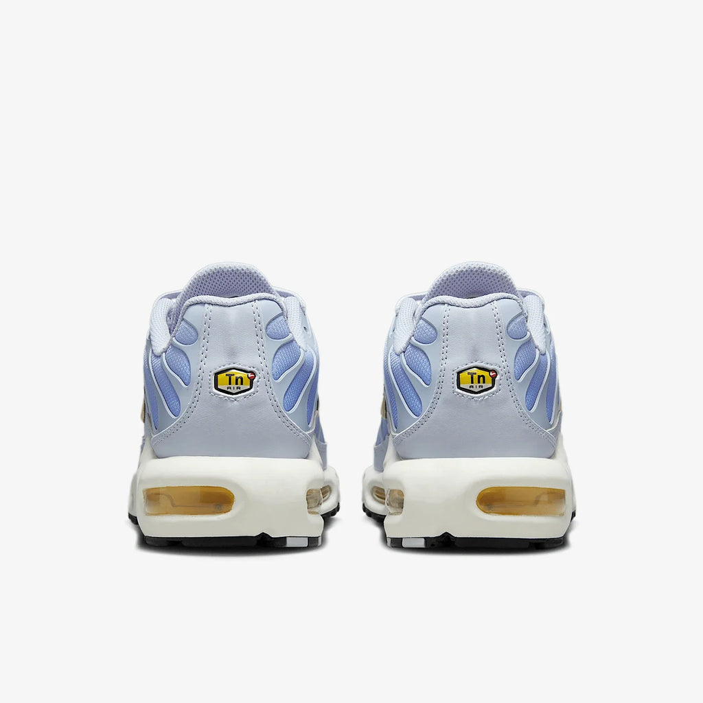 Air Max Plus TN Blue Authentic