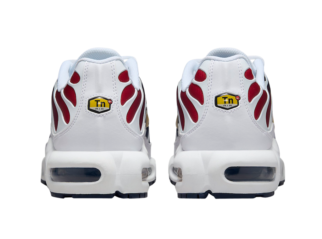 Air Max Plus TN Red Blue (PSG)
