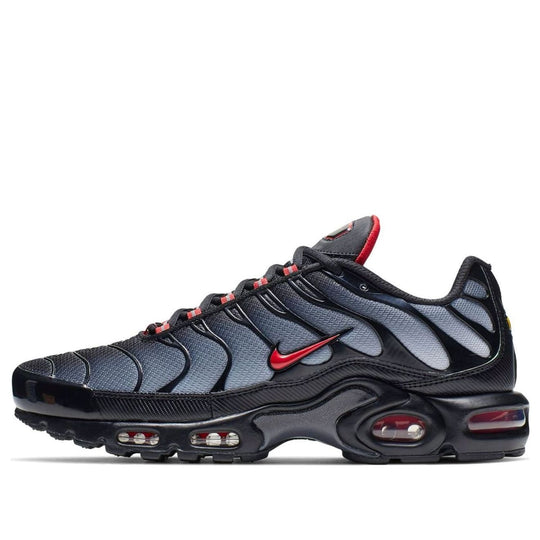 Air Max TN's Plus